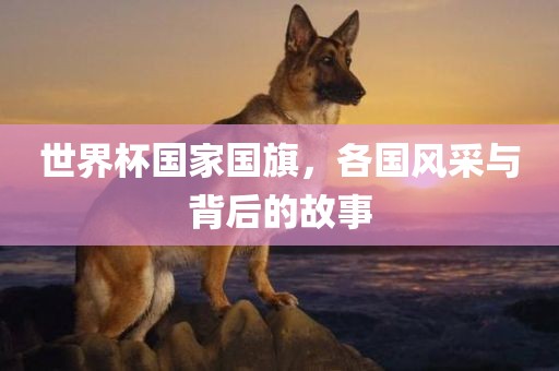 世界杯国家国旗，各国风采与背后的故事