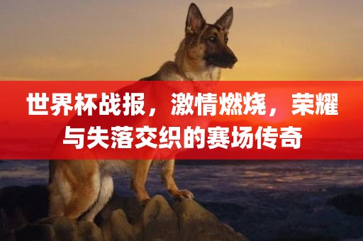 世界杯战报，激情燃烧，荣耀与失落交织的赛场传奇