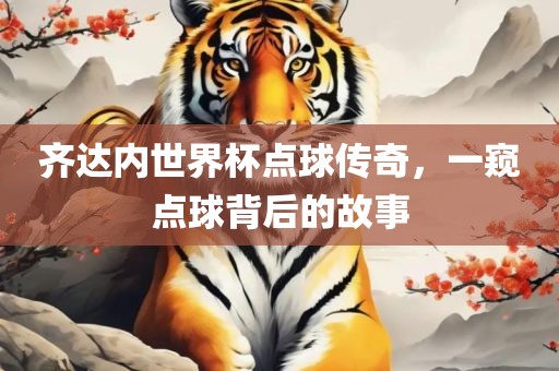 齐达内世界杯点球传奇，一窥点球背后的故事