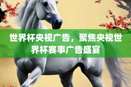世界杯央视广告，聚焦央视世界杯赛事广告盛宴