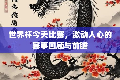 世界杯今天比赛，激动人心的赛事回顾与前瞻