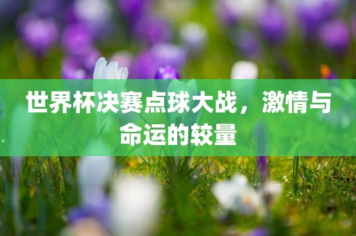 世界杯决赛点球大战，激情与命运的较量