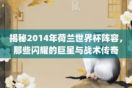 揭秘2014年荷兰世界杯阵容，那些闪耀的巨星与战术传奇