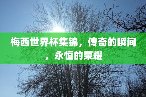 梅西世界杯集锦，传奇的瞬间，永恒的荣耀