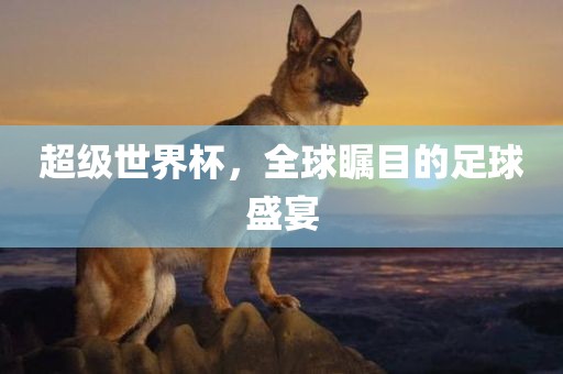 金炬实业股份有限公司超级世界杯，全球瞩目的足球盛宴