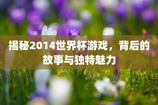 揭秘2014世界杯游戏，背后的故事与独特魅力
