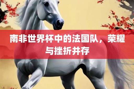 南非世界杯中的法国队，荣耀与挫折并存