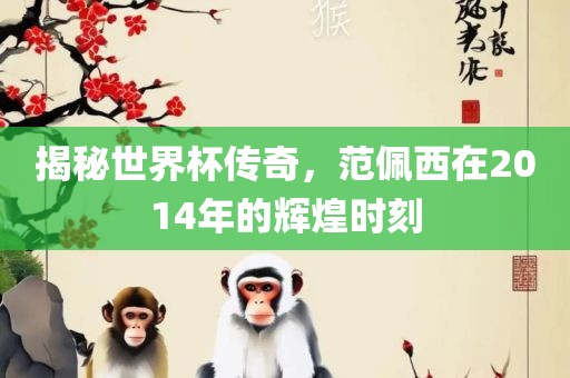 揭秘世界杯传奇，范佩西在2014年的辉煌时刻