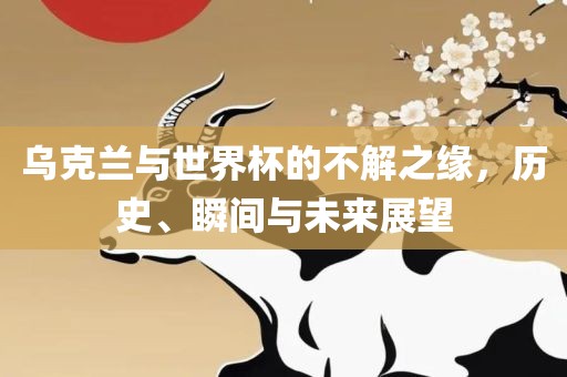 历史瞬间与未来展望