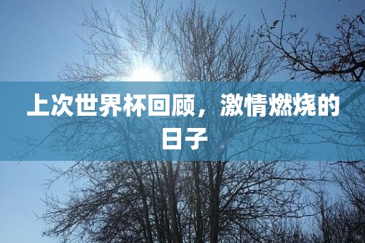 上次世界杯回顾，激情燃烧的日子