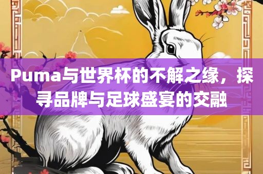 Puma与世界杯的不解之缘，探寻品牌与足球盛宴的交融
