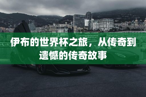伊布的世界杯之旅，从传奇到遗憾的传奇故事金炬实业股份有限公司