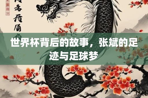 世界杯背后的故事，张斌的足迹与足球梦