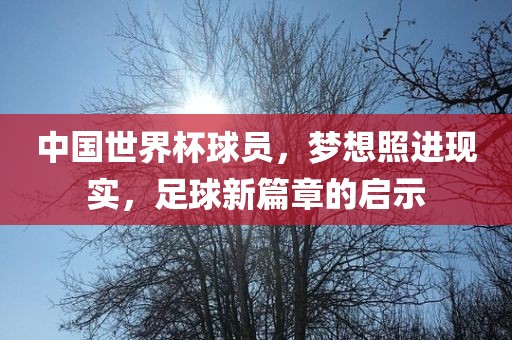 中国世界杯球员，梦想照进现实，足球新篇章的启示
