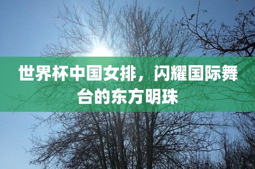 闪耀国际舞台的东方明珠(或可简化为“东方明珠女排”)