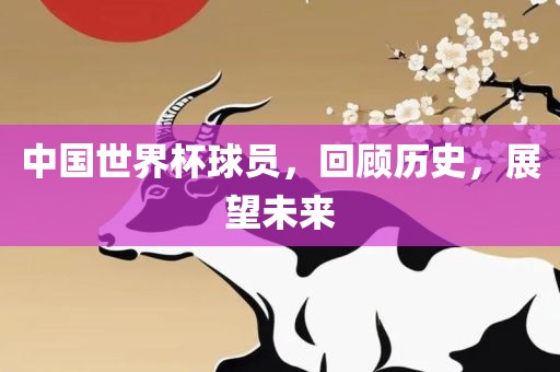 中国世界杯球员，回顾历史，展望未来
