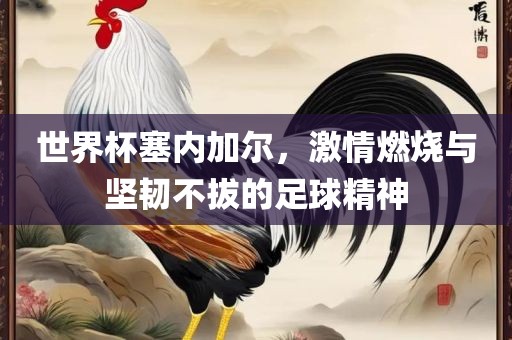 世界杯塞内加尔，激情燃烧与坚韧不拔的足球精神