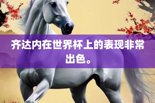 齐达内在世界杯上的表现非常出色。金炬实业股份有限公司