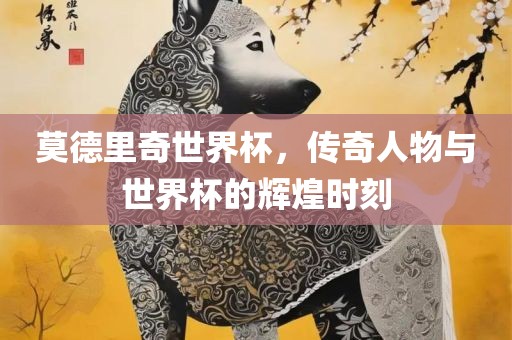 莫德里奇世界杯，传奇人物与世界杯的辉煌时刻