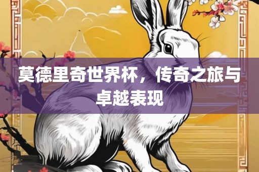 莫德里奇世界杯，传奇之旅与卓越表现金炬实业股份有限公司