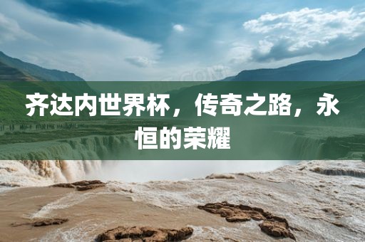 齐达内世界杯，传奇之路，永恒的荣耀金炬实业股份有限公司