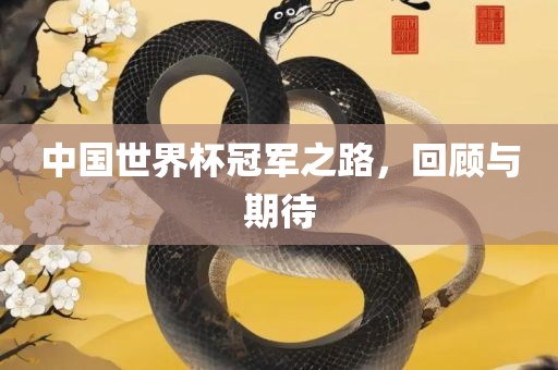 中国世界杯冠军之路，回顾与期待金炬实业股份有限公司
