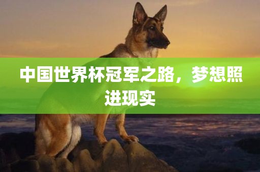 中国世界杯冠军之路，梦想照进现实