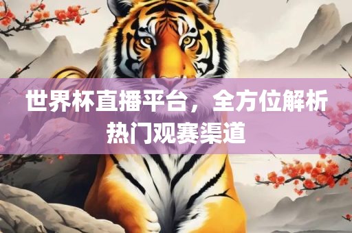 世界杯直播平台，全方位解析热门观赛渠道金炬实业股份有限公司