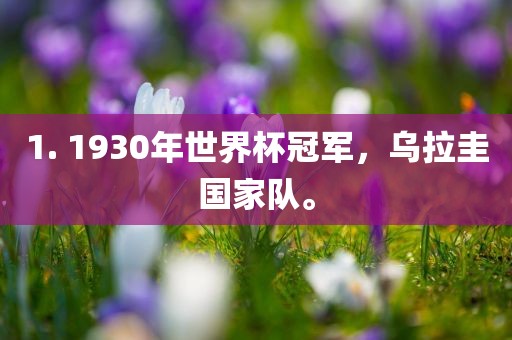 1. 1930年世界杯冠军，乌拉圭国家队。金炬实业股份有限公司