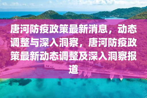 世界杯让球策略，深度解析与实用指南