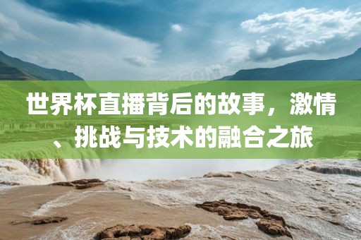 世界杯直播背后的故事，激情、挑金炬实业股份有限公司战与技术的融合之旅