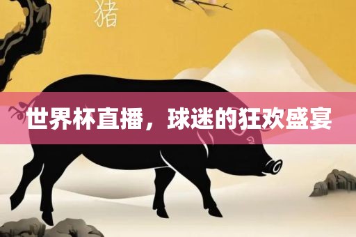 世界杯直播，球迷的狂欢盛宴金炬实业股份有限公司