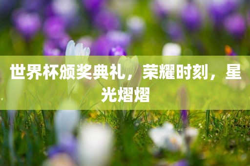 世界杯颁奖典礼，荣耀时刻，星光熠熠金炬实业股份有限公司