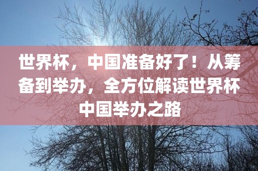 wushuxia 第13页