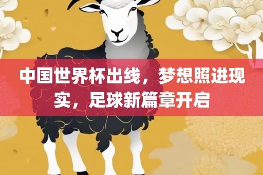 中国世界杯出线，梦想照进现实，足球新篇章开启