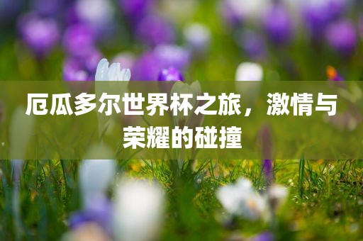 厄瓜多尔世界杯之旅，激情与荣耀的碰撞金炬实业股份有限公司