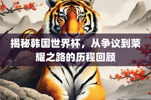 揭秘韩国世界杯，从争议到荣耀之路的历程回顾金炬实业股份有限公司