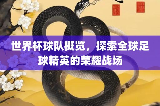 世界杯球队概览，探索全球足球精英的荣耀战场