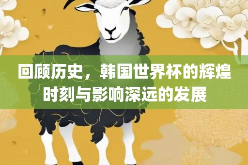 回顾历史，韩国世界杯的辉煌时刻与影响深远的发展金炬实业股份有限公司
