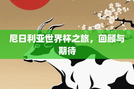 尼日利亚世界杯之旅，回顾与期待