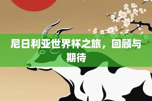 尼日利亚世界杯之旅，回顾与期待