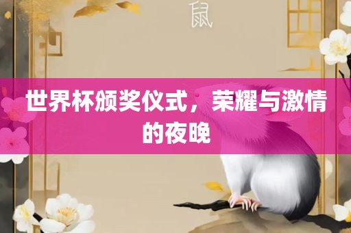世界杯颁奖仪式，荣耀与激情的夜晚