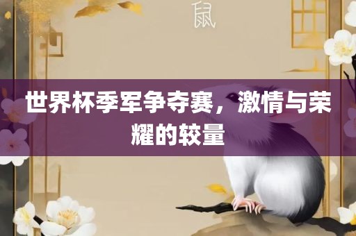 世界杯季军争夺赛
