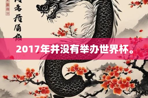 2017年并没有举办世界杯。金炬实业股份有限公司