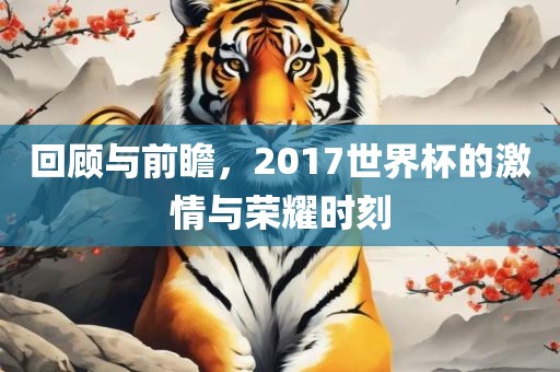 回顾与前瞻，2017世界杯的激情与荣耀时刻