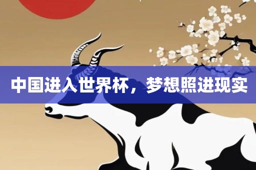 中国进入世界杯，梦想照进现实金炬实业股份有限公司
