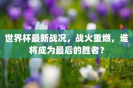 世界杯最新战况，战火重燃，谁将成为最后的胜者？金炬实业股份有限公司