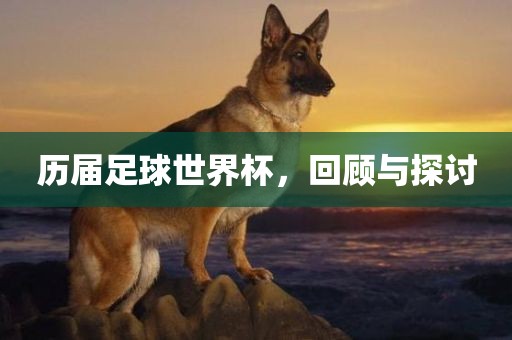 历届足球世界杯，回顾与探讨金炬实业股份有限公司