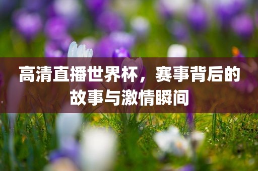 高清直播世界杯，赛事背后的故事与激情瞬间