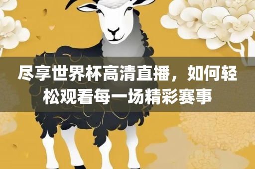 尽享世界杯高清直播，如何轻松观看每一场精彩赛事